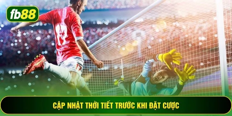 Cập nhật thời tiết trước khi đặt cược