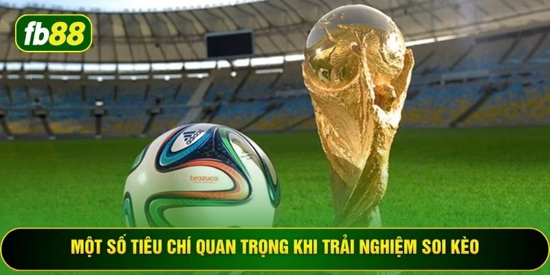Một số tiêu chí quan trọng khi trải nghiệm soi kèo